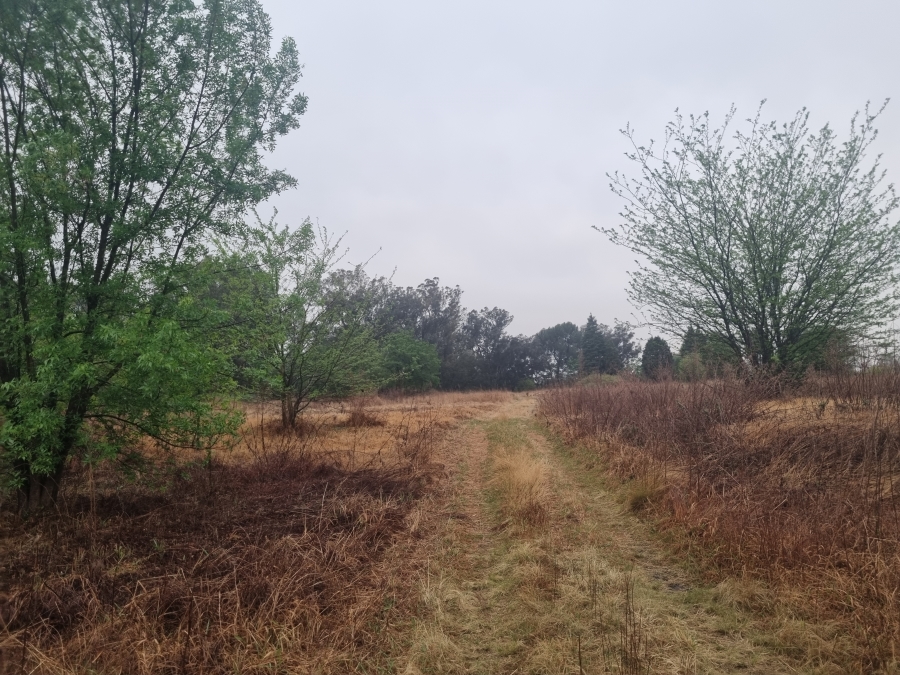 0 Bedroom Property for Sale in Vaalpark Free State